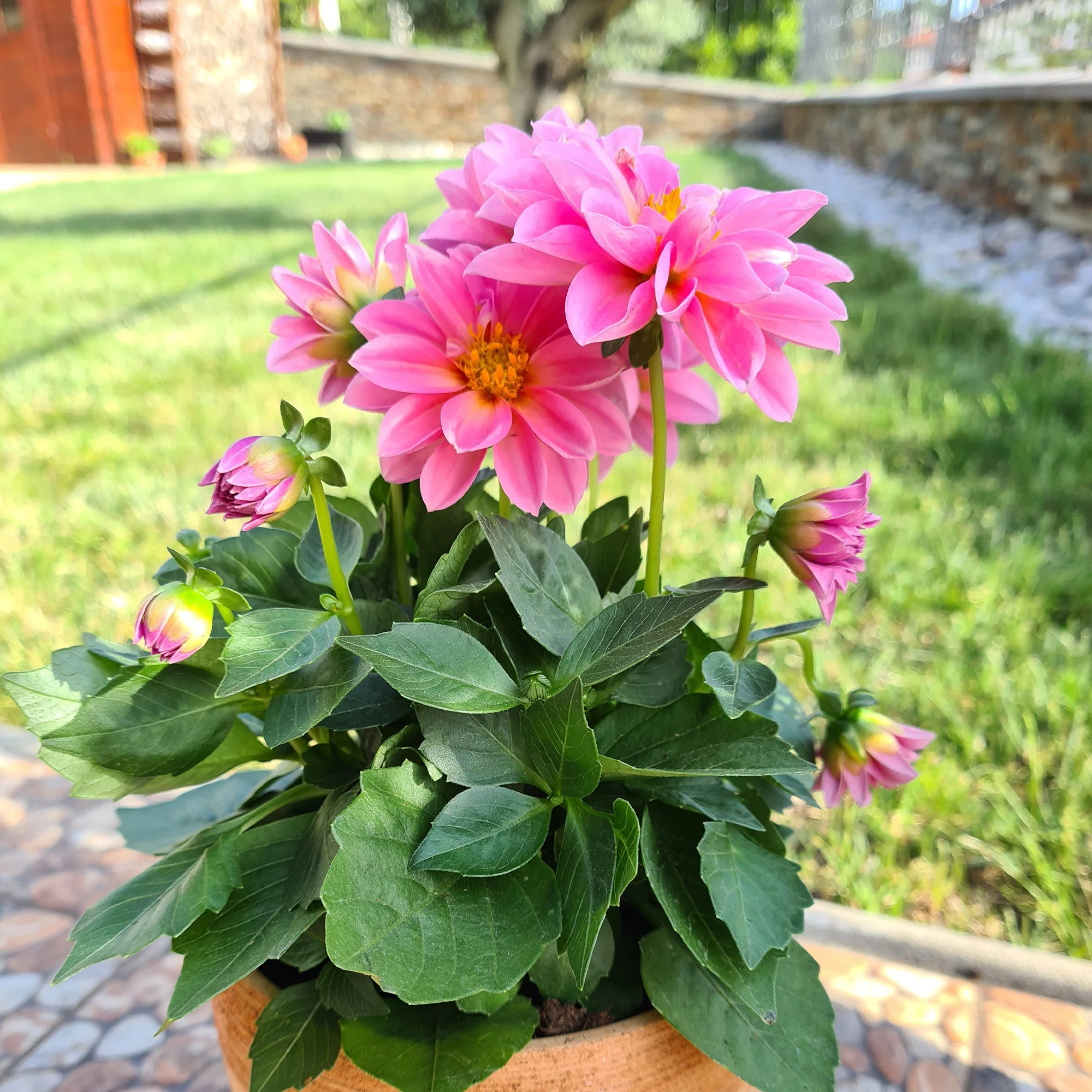 Miniature 2