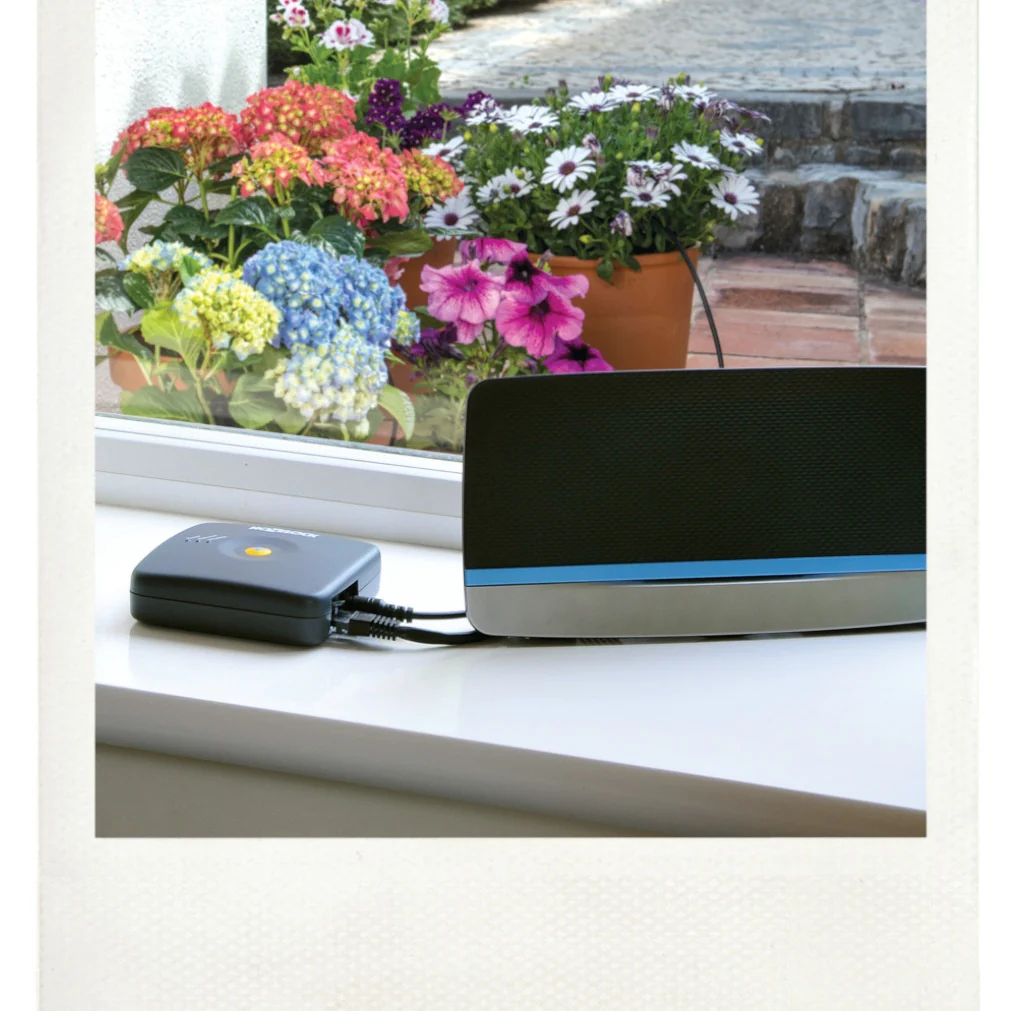 Miniature 6
