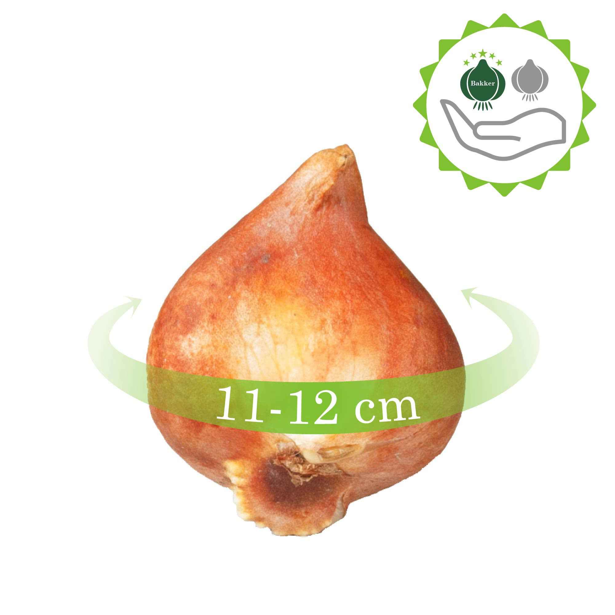 Miniature 8